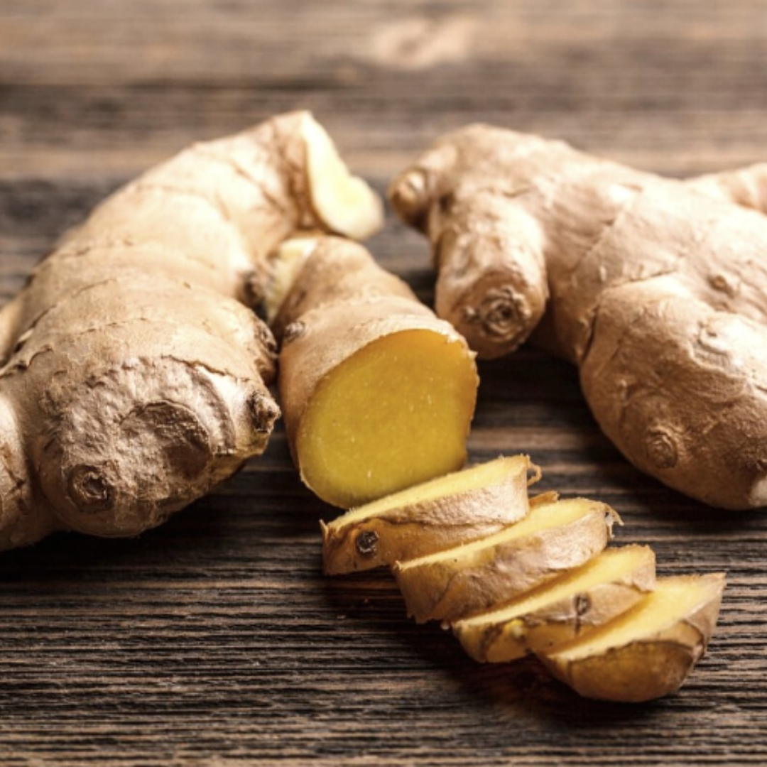 Rhizomes de Curcuma sur fond gris