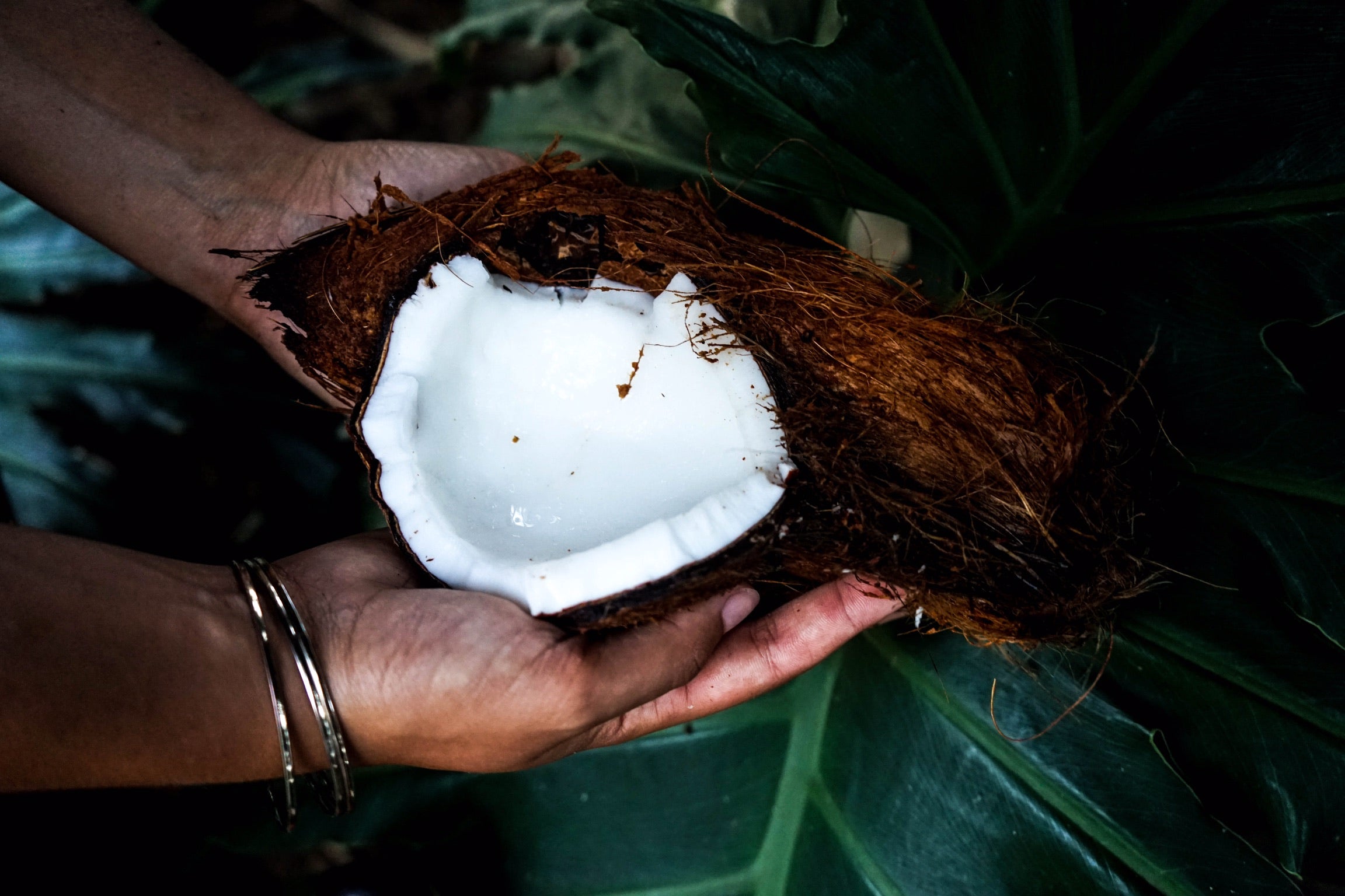 Les richesses de la Noix de Coco 🥥