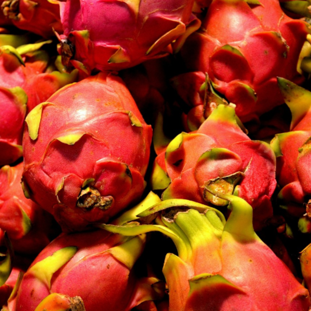 L’explosion de saveur du Fruit du Dragon 🐉